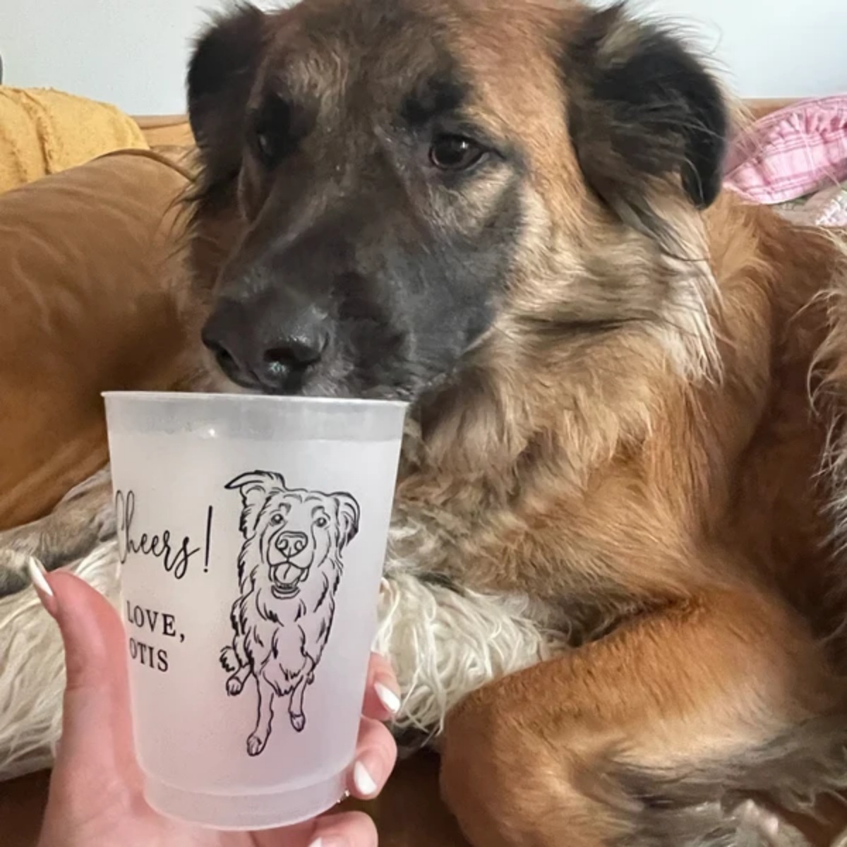 10/50 Vasos Personalizados Esm - Plastic Cup 50Pcs reseña y precio